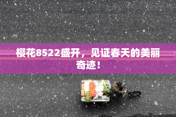 樱花8522盛开，见证春天的美丽奇迹！