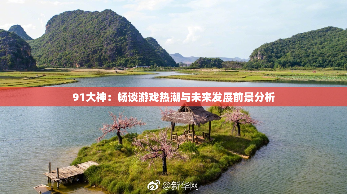 91大神：畅谈游戏热潮与未来发展前景分析