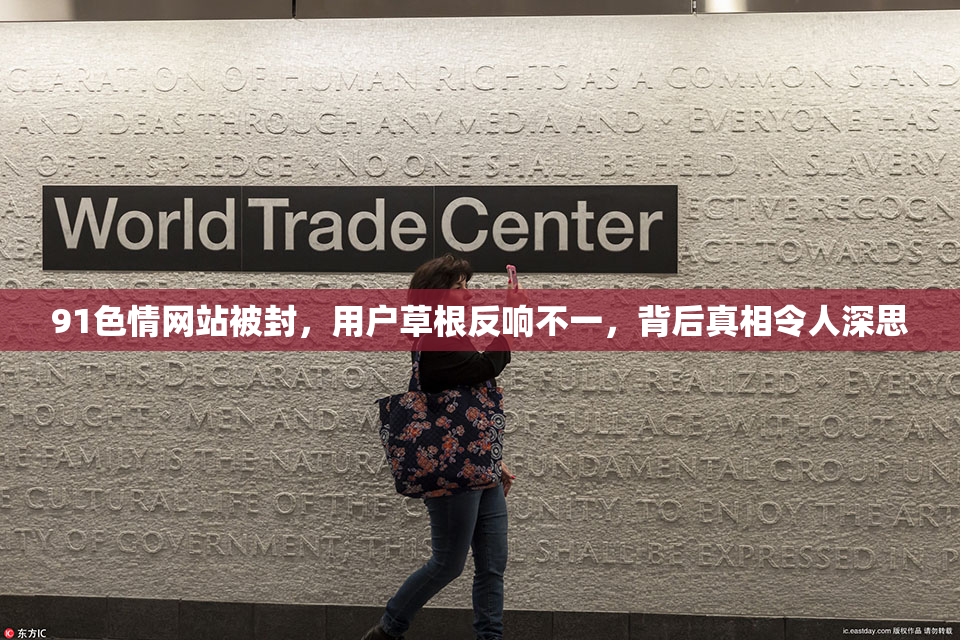 91色情网站被封，用户草根反响不一，背后真相令人深思