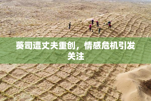 葵司遭丈夫重创，情感危机引发关注