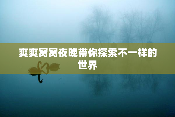 爽爽窝窝夜晚带你探索不一样的世界