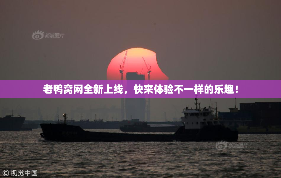 老鸭窝网全新上线，快来体验不一样的乐趣！