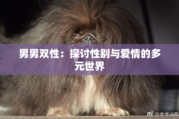 男男双性：探讨性别与爱情的多元世界