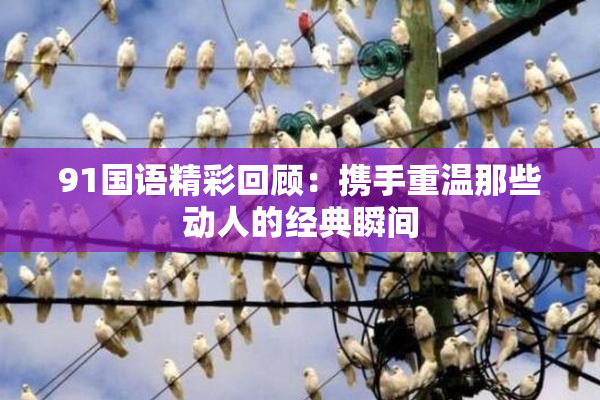 91国语精彩回顾：携手重温那些动人的经典瞬间