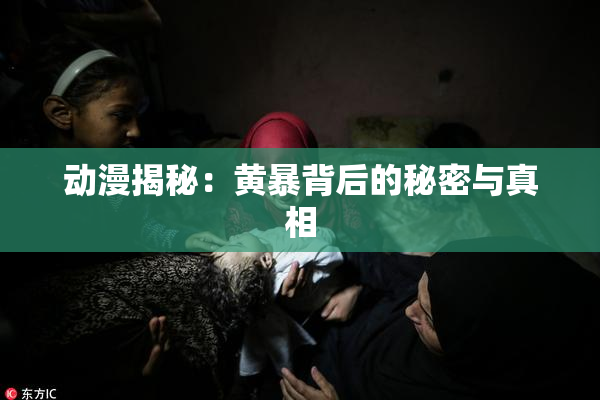 动漫揭秘：黄暴背后的秘密与真相