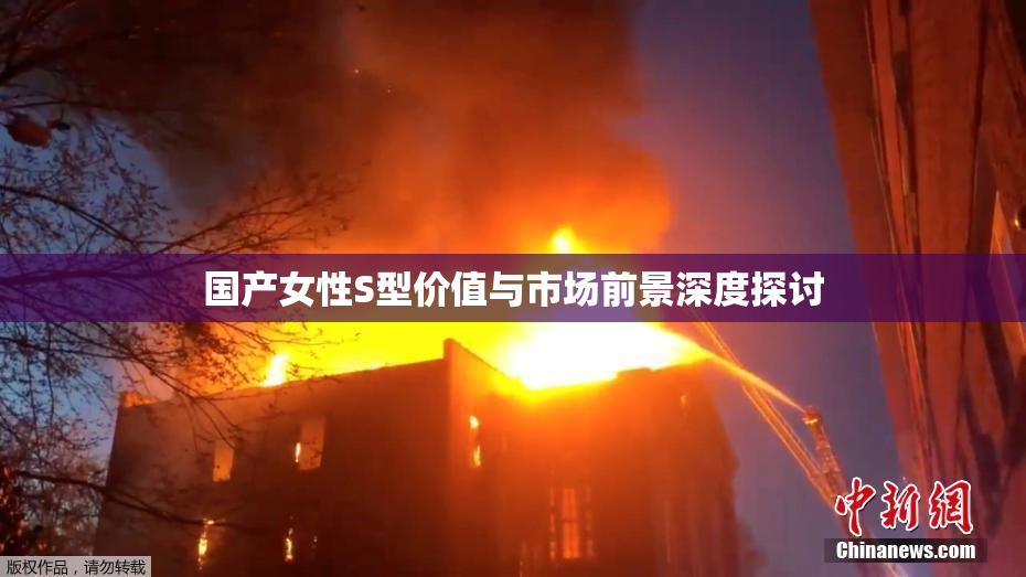 国产女性S型价值与市场前景深度探讨