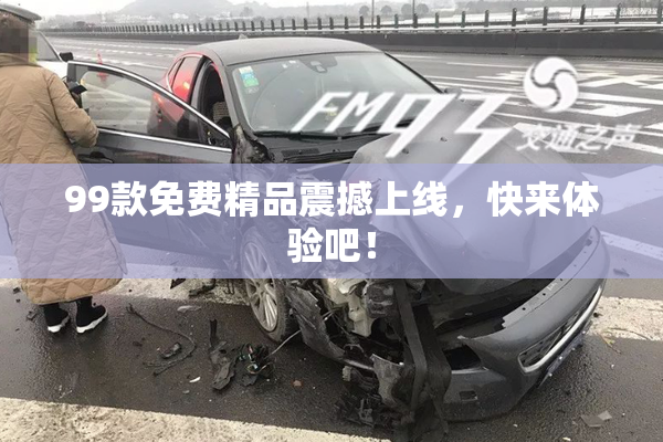 99款免费精品震撼上线，快来体验吧！