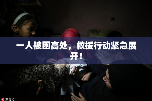 一人被困高处，救援行动紧急展开！