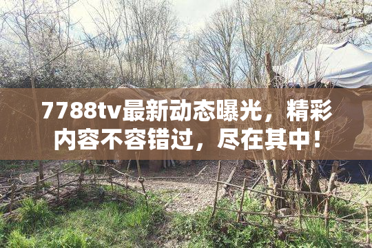 7788tv最新动态曝光，精彩内容不容错过，尽在其中！