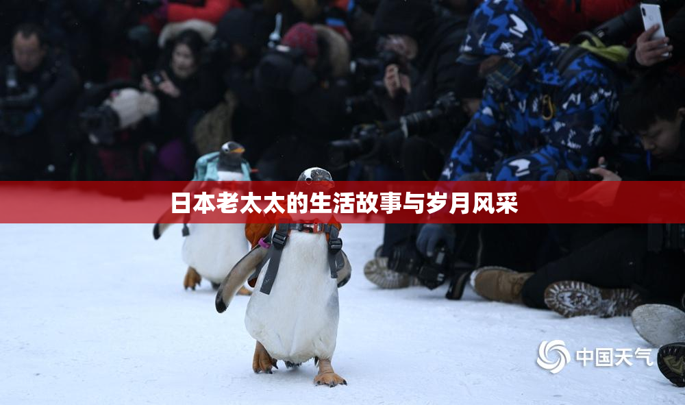 日本老太太的生活故事与岁月风采
