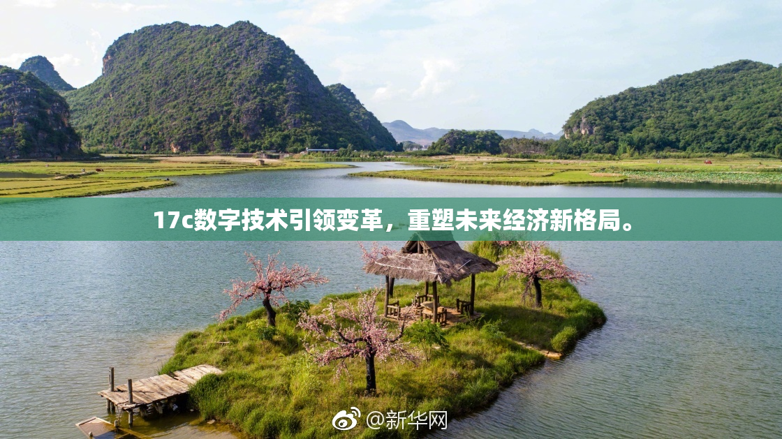 17c数字技术引领变革，重塑未来经济新格局。