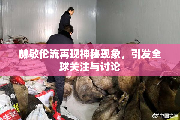 赫敏伦流再现神秘现象，引发全球关注与讨论