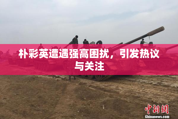 朴彩英遭遇强高困扰，引发热议与关注