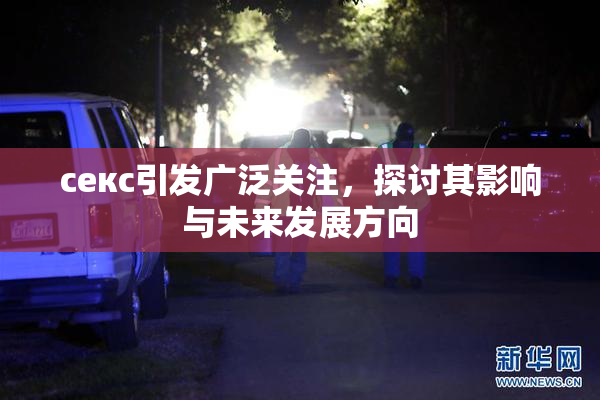 ceкс引发广泛关注，探讨其影响与未来发展方向