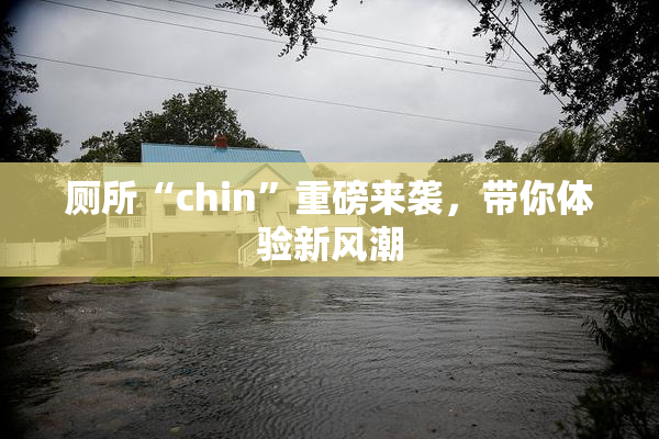 厕所“chin”重磅来袭，带你体验新风潮