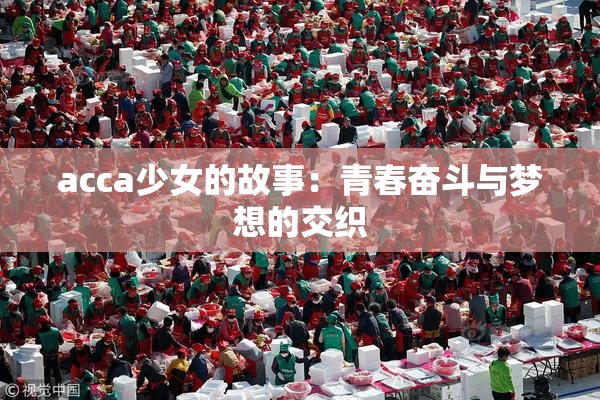 acca少女的故事：青春奋斗与梦想的交织
