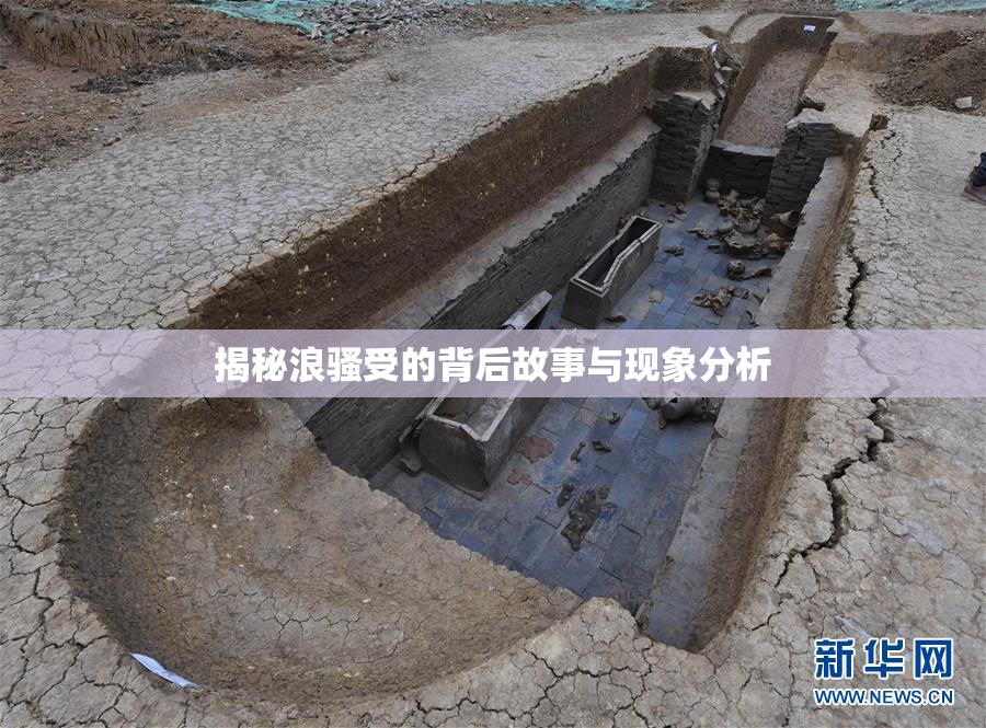 揭秘浪骚受的背后故事与现象分析