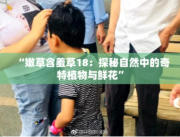 “嫩草含羞草18：探秘自然中的奇特植物与鲜花”