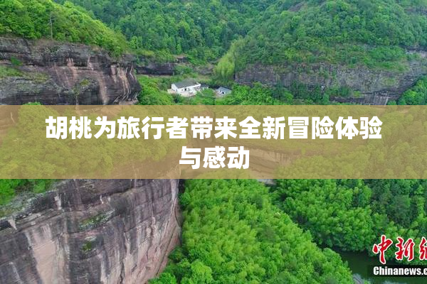 胡桃为旅行者带来全新冒险体验与感动
