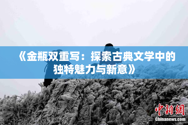 《金瓶双重写：探索古典文学中的独特魅力与新意》