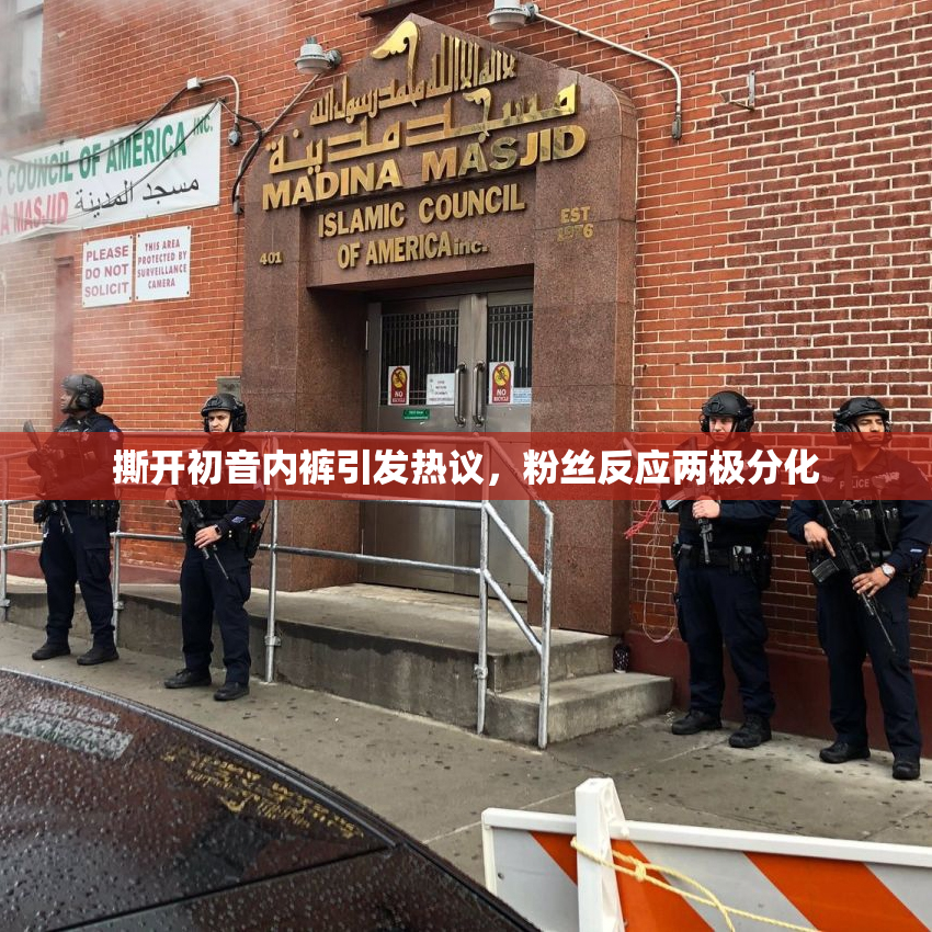 撕开初音内裤引发热议，粉丝反应两极分化