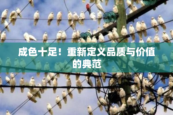 成色十足！重新定义品质与价值的典范