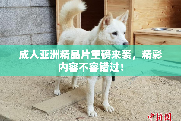 成人亚洲精品片重磅来袭，精彩内容不容错过！