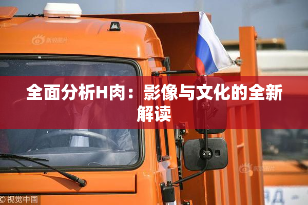 全面分析H肉：影像与文化的全新解读