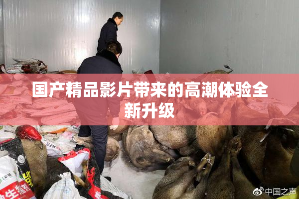 国产精品影片带来的高潮体验全新升级