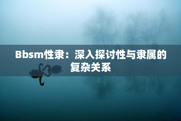 Bbsm性隶：深入探讨性与隶属的复杂关系