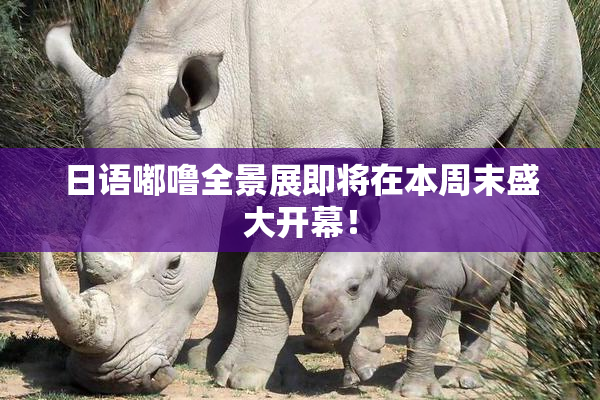 日语嘟噜全景展即将在本周末盛大开幕！