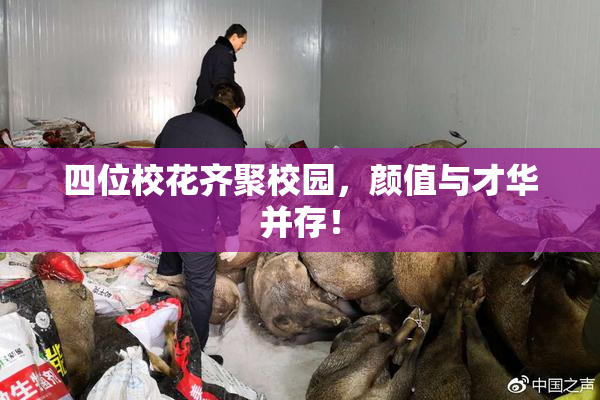 四位校花齐聚校园，颜值与才华并存！