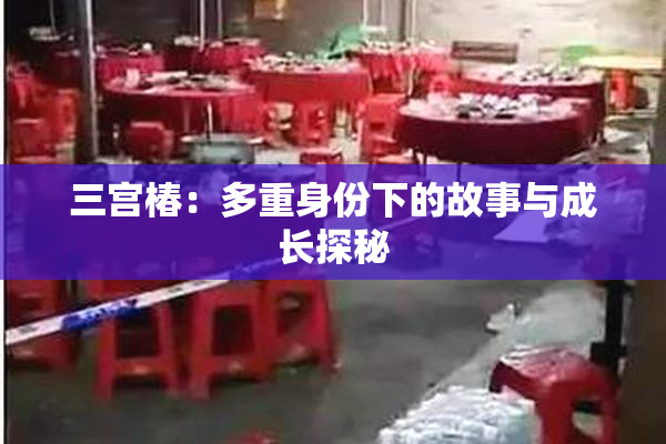 三宫椿：多重身份下的故事与成长探秘