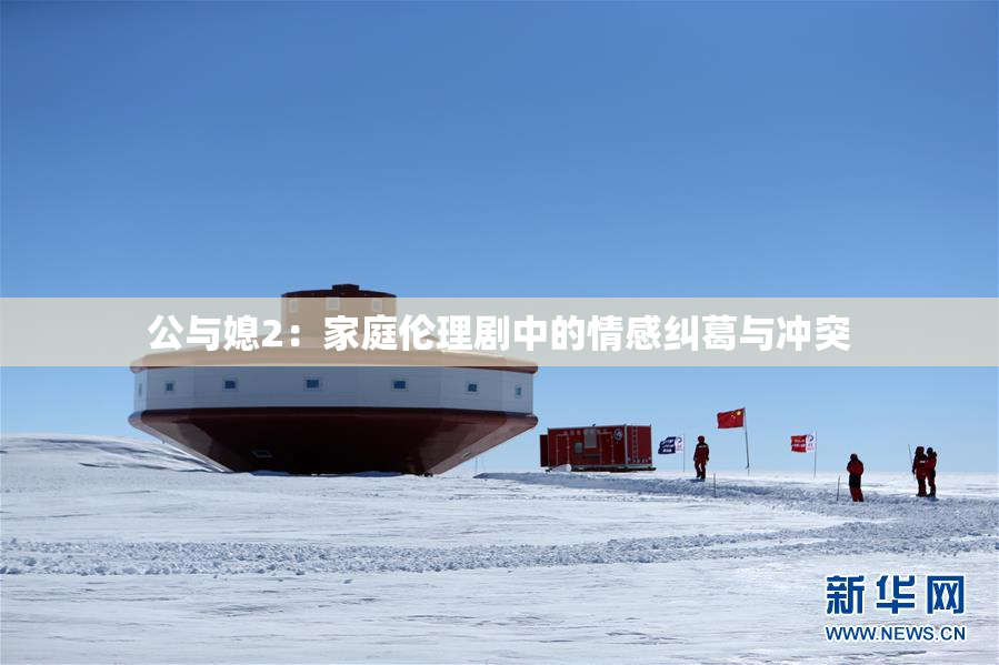 公与媳2：家庭伦理剧中的情感纠葛与冲突