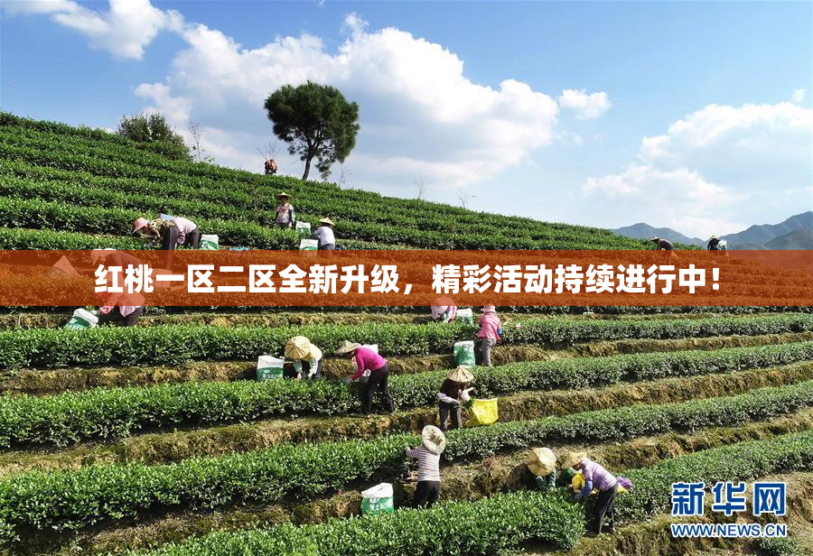 红桃一区二区全新升级，精彩活动持续进行中！