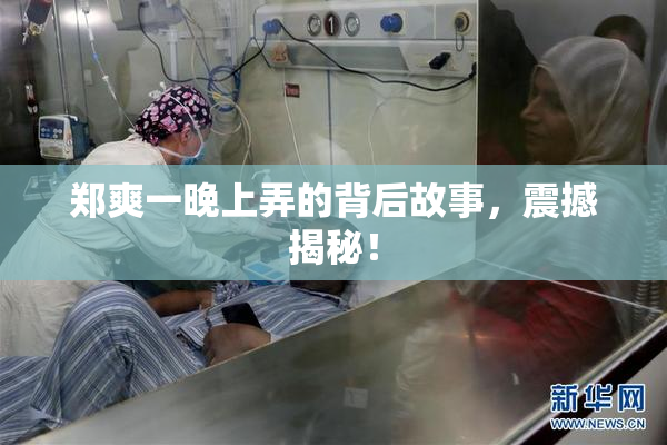 郑爽一晚上弄的背后故事，震撼揭秘！