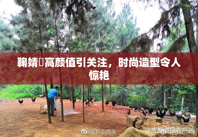 鞠婧祎高颜值引关注，时尚造型令人惊艳