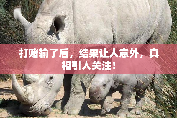 打赌输了后，结果让人意外，真相引人关注！