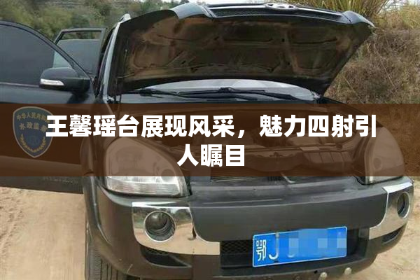 王馨瑶台展现风采，魅力四射引人瞩目