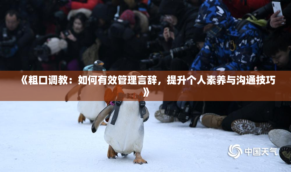 《粗口调教：如何有效管理言辞，提升个人素养与沟通技巧》