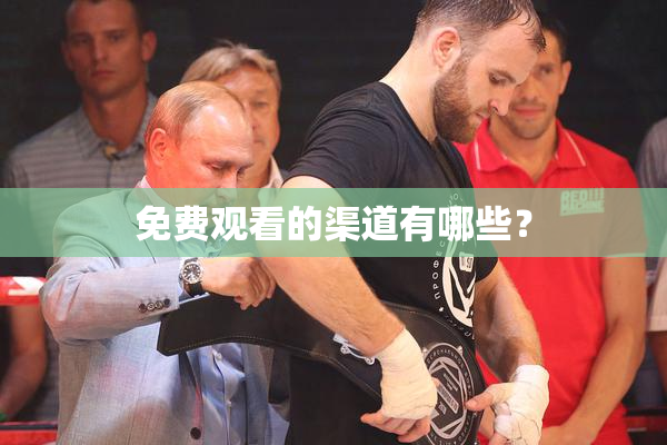 免费观看的渠道有哪些？