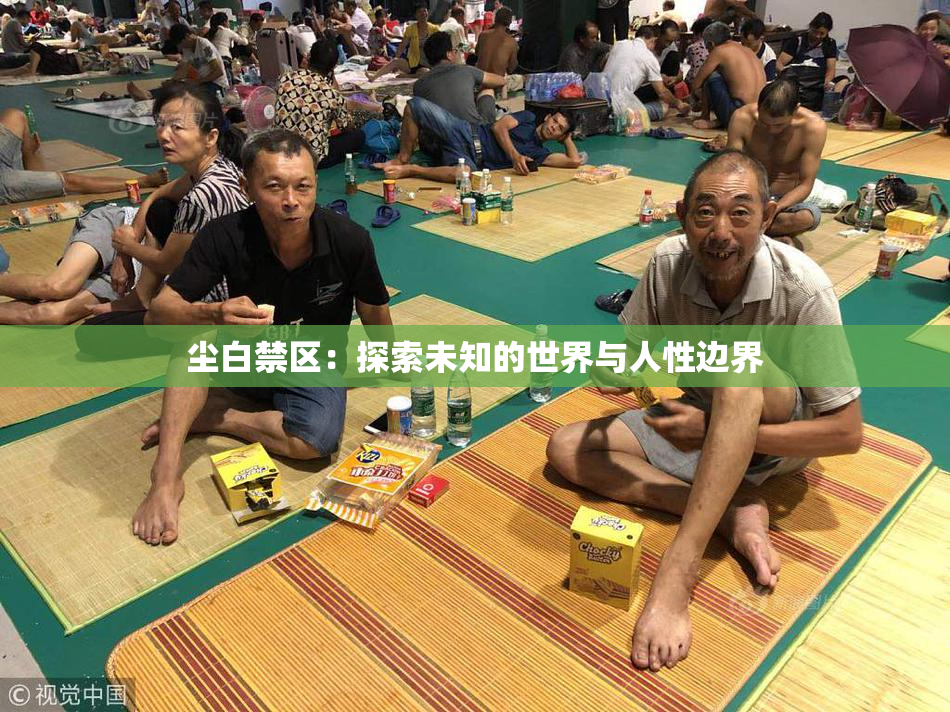 尘白禁区：探索未知的世界与人性边界