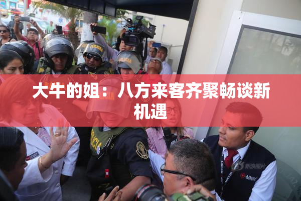 大牛的姐：八方来客齐聚畅谈新机遇