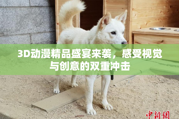 3D动漫精品盛宴来袭，感受视觉与创意的双重冲击