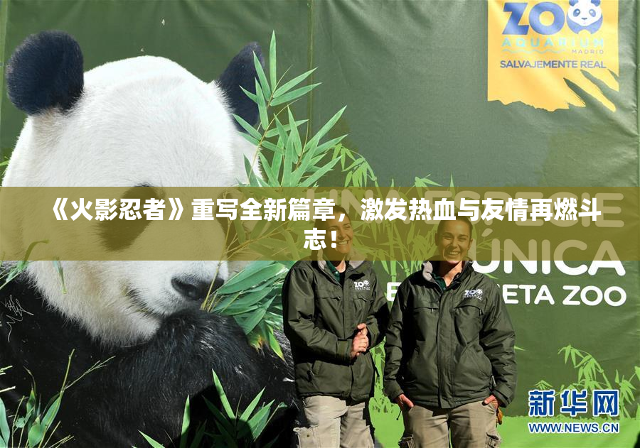 《火影忍者》重写全新篇章，激发热血与友情再燃斗志！