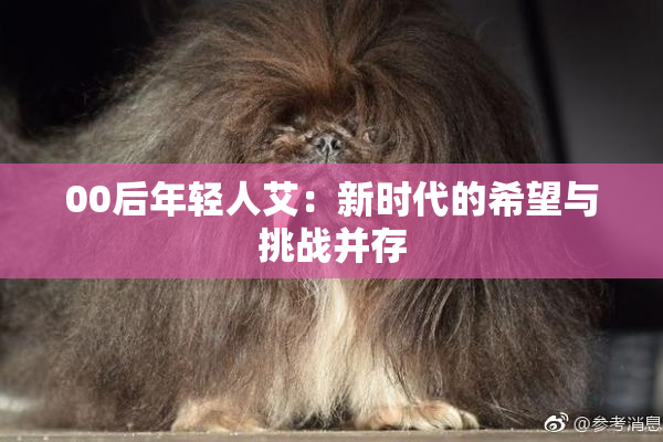 00后年轻人艾：新时代的希望与挑战并存