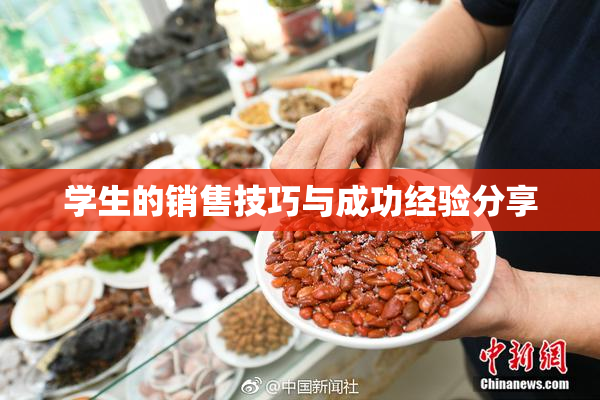 学生的销售技巧与成功经验分享