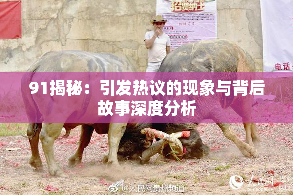 91揭秘：引发热议的现象与背后故事深度分析