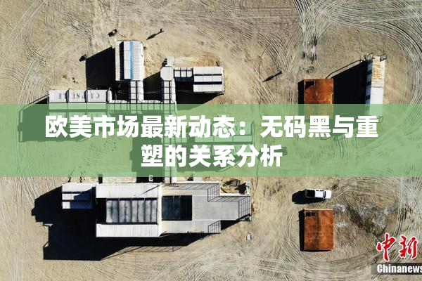 欧美市场最新动态：无码黑与重塑的关系分析