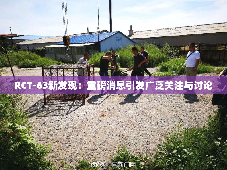 RCT-63新发现：重磅消息引发广泛关注与讨论
